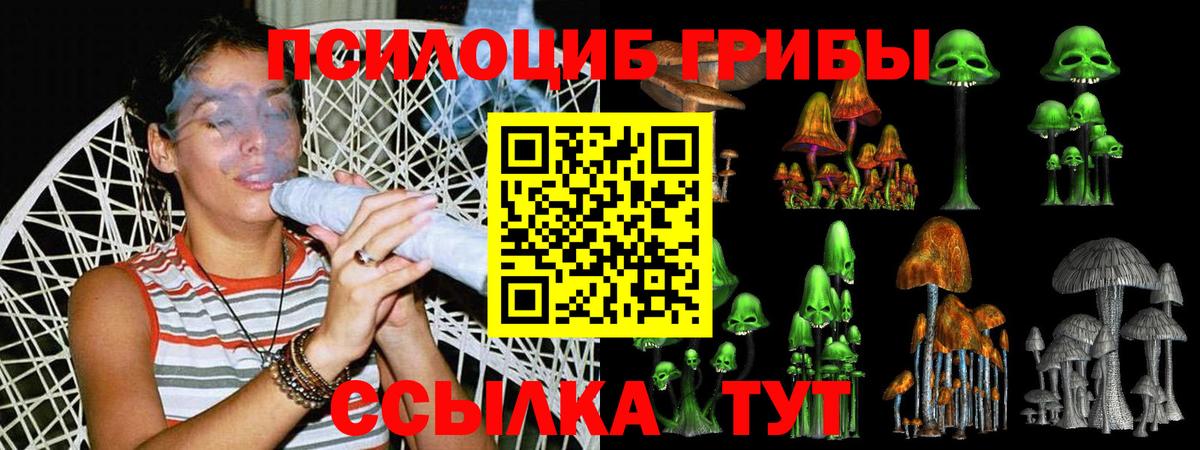 наркотики  Псилоцибиновые грибы Psilocybe  Изобильный  Вход с VPN  Псилоцибиновые грибы мицелий 